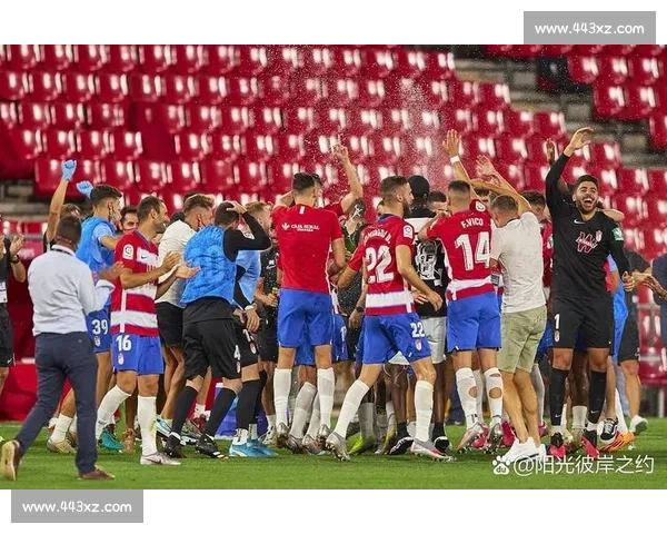 苏超联赛:探索苏格兰足球的新机遇与挑战,未来发展前景分析